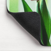 Schöne Tulpe-Blume, grüne Blätter Mousepad (Ecke)