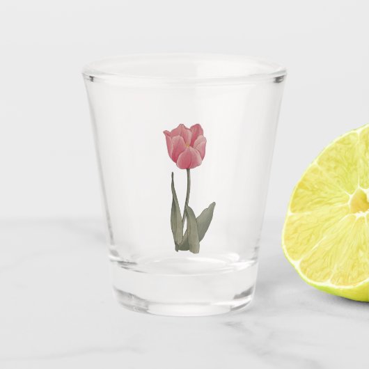 Schöne Tulpe, Schnapsglas (Vorderseite)