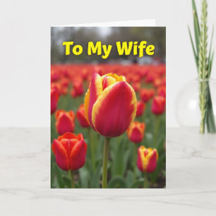 Schöne Tulpen-Blumenkarte Karte