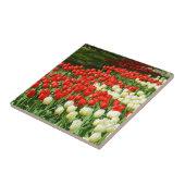 Schöne Tulpen Fliese (Seite)