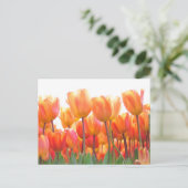 Schöne Tulpen Postkarte (Stehend Vorderseite)