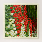 Schöne Tulpen Puzzle (Horizontal)