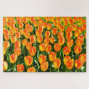 Schöne Tulpen Puzzle