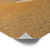 Schöne türkisfarbene tropische Fotografie Poster (Ecke)