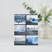 Schöne Überraschung Antarktis Postkarte (Stehend Vorderseite)