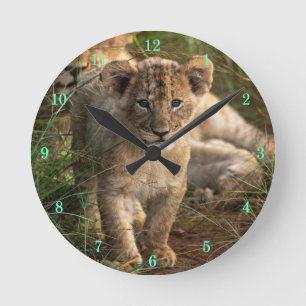 Schöne Uhr der Wildtiere