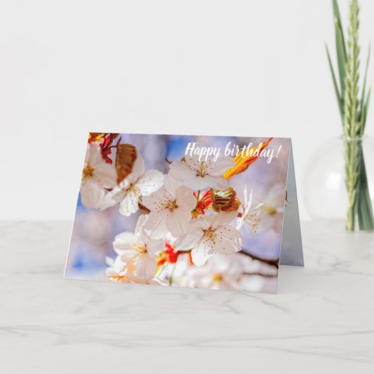 Schöne und elegante Sakura-Blume im Springtime Karte (Vorderseite)