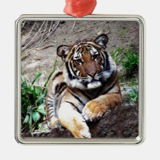 Schöne und majestätische bengalische silbernes ornament