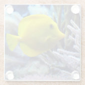 Schöne Unterwasser Gelben Tang Fisch und Korallen Glasuntersetzer (Rückseite)