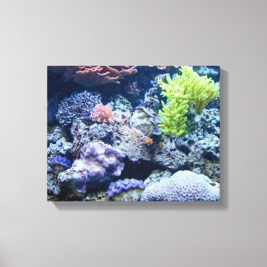 schöne Unterwasserwelt, buntes Meer Leinwanddruck (Vorderseite)
