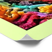 Schöne Unterwasserwelt Octopus Art Poster (Ecke)