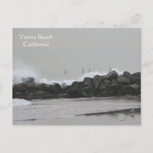 Schöne Venedig Beach Postacard! Postkarte (Vorderseite)