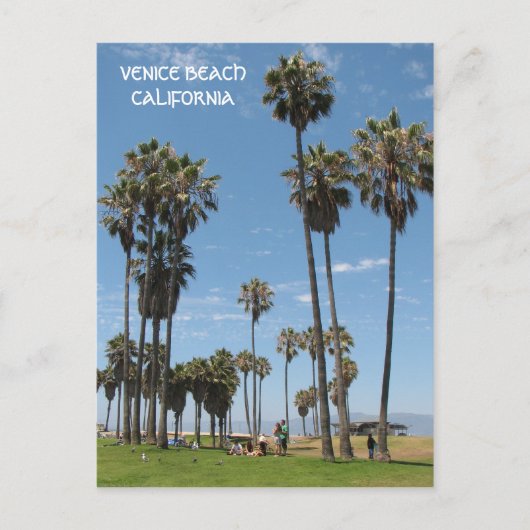 Schöne venice Beach Postcard! Postkarte (Vorderseite)
