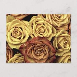 Schöne verblasste Rosen Vintage-Blumenstrauß Postkarte