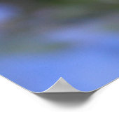 Schöne Vergessen-ich-nicht-Blume Poster (Ecke)