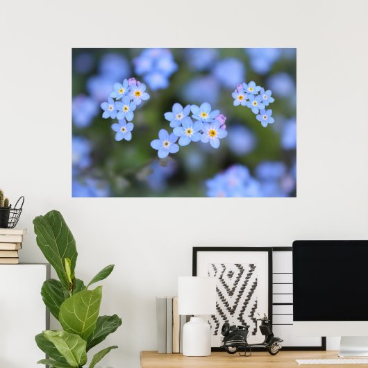 Schöne Vergessen-ich-nicht-Blume Poster (Heimbüro)