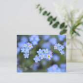 Schöne Vergessen-ich-nicht-Blume Postkarte (Stehend Vorderseite)