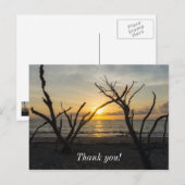 Schöne Verrücktheit Morgen Postkarte (Vorne/Hinten)