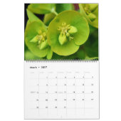 Schöne Vibes Gardens Kalender (Mär 2027)