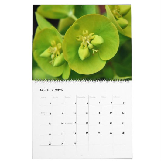 Schöne Vibes Gardens Kalender (Mär 2026)