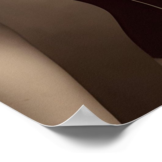 Schöne Viktorianische Corset-Frau Poster (Ecke)