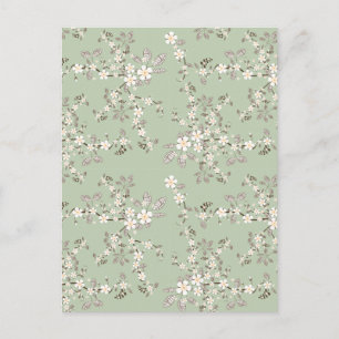 Schöne Vintage Baumblüte, weiße Blume Postkarte