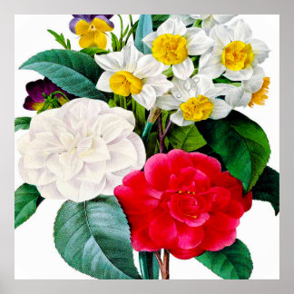 Schöne Vintage Blume Poster
