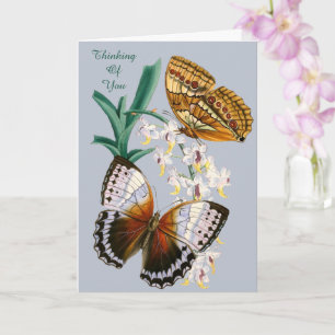 Schöne Vintage-Blumen-Schmetterling-Illustration Karte