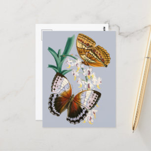 Schöne Vintage-Blumen-Schmetterling-Illustration Postkarte