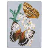 Schöne Vintage Blütenschmetterlingsdarstellung Klemmbrett (Rückseite)