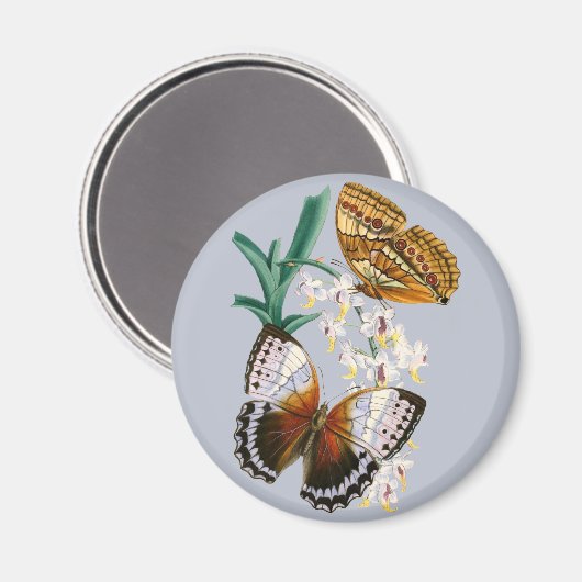 Schöne Vintage Blütenschmetterlingsdarstellung Magnet (Vorderseite/Rückseite)