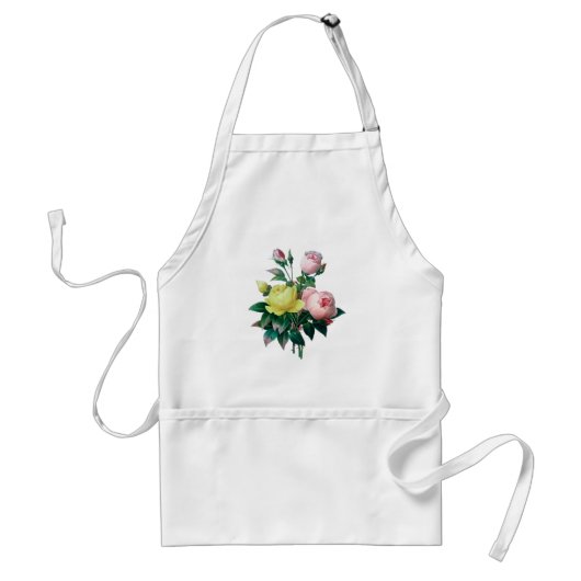 schöne Vintage botanische Abbildung, Rose Schürze (Vorne)