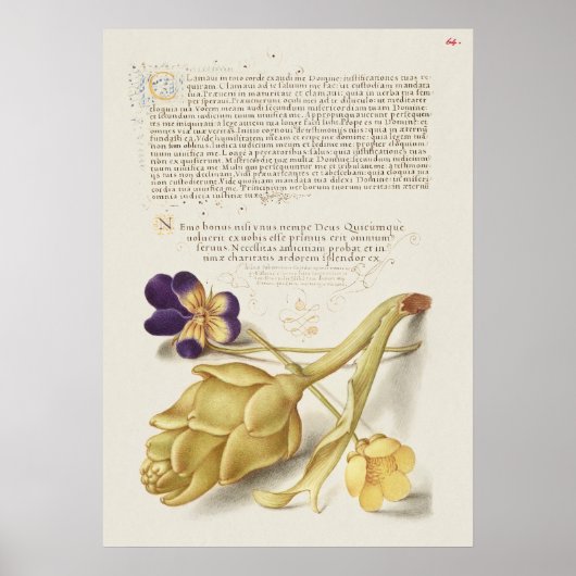 Schöne Vintage botanische Illustration Poster (Vorne)