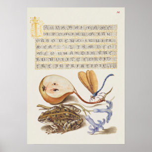 Schöne Vintage botanische Illustration Poster