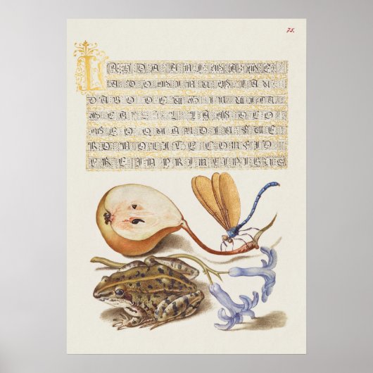 Schöne Vintage botanische Illustration Poster (Vorne)