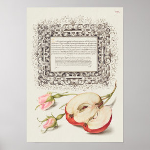Schöne Vintage botanische Illustration Poster