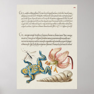 Schöne Vintage botanische Illustration Poster