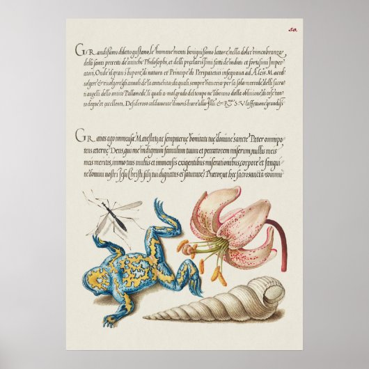 Schöne Vintage botanische Illustration Poster (Vorne)
