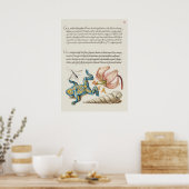 Schöne Vintage botanische Illustration Poster (Küche)