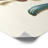 Schöne Vintage botanische Illustration Poster (Ecke)