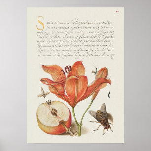Schöne Vintage botanische Illustration Poster