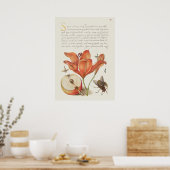Schöne Vintage botanische Illustration Poster (Küche)