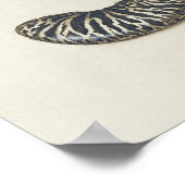 Schöne Vintage botanische Illustration Poster (Ecke)