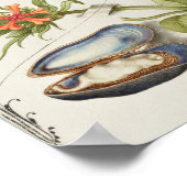 Schöne Vintage botanische Illustration Poster (Ecke)