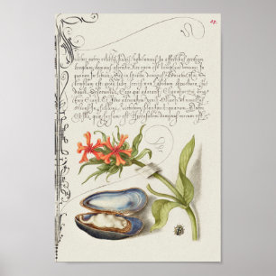 Schöne Vintage botanische Illustration Poster