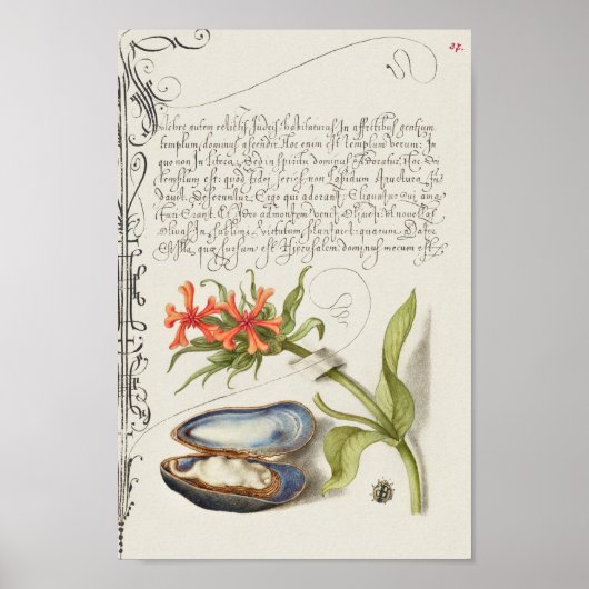 Schöne Vintage botanische Illustration Poster (Vorne)