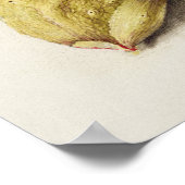 Schöne Vintage botanische Illustration Poster (Ecke)