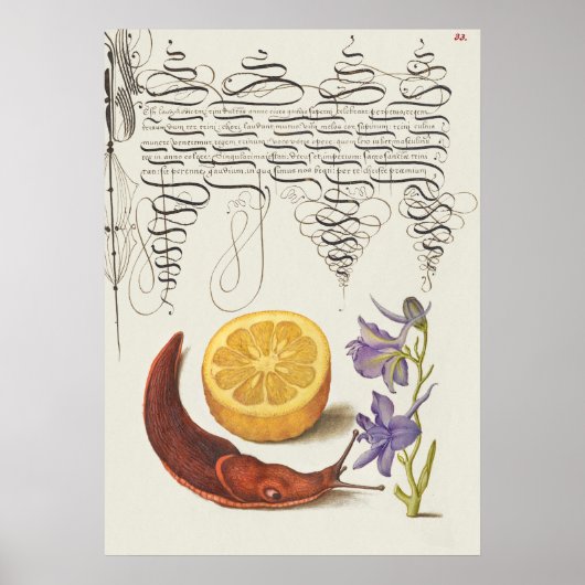 Schöne Vintage botanische Illustration Poster (Vorne)