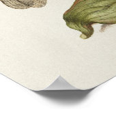 Schöne Vintage botanische Illustration Poster (Ecke)