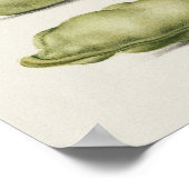 Schöne Vintage botanische Illustration Poster (Ecke)